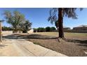 Spacious grassy area near a sidewalk, partially shaded by mature trees at 567 Roxella Ln # D, Las Vegas, NV 89110