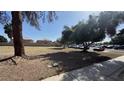Large grassy field with shade trees and parked cars on the roadside at 567 Roxella Ln # D, Las Vegas, NV 89110