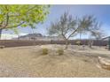 Expansive backyard featuring desert landscaping and a serene atmosphere at 1595 Lefty Garcia Way, Henderson, NV 89002