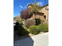 Landscaped front yard featuring green bushes and mulch at 486 Stonegate Meadow Ave, Las Vegas, NV 89178