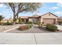Inviting single-story home with a well-manicured front yard and a concrete sidewalk at 2052 Powder Springs St, Henderson, NV 89052