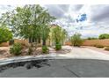 Manicured front yard with drought resistant landscaping plus a long driveway to the spacious two car garage at 11769 Via Vera Cruz Ct, Las Vegas, NV 89138