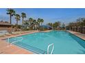 Community pool with clear blue water, lounge chairs, umbrellas, and surrounded by palm trees at 470 Dorchester Bend Ave # 3, North Las Vegas, NV 89032