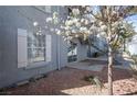 Outdoor patio area with a blooming tree providing shade at 3823 S Maryland Pkwy # L6, Las Vegas, NV 89119