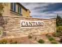 Stone sign displays 'CANTARO' community name with manicured landscaping and desert foliage at 8564 Scalpay St, Las Vegas, NV 89166
