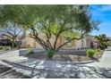Charming single-story home with a two-car garage, mature trees, and desert landscaping at 11053 Cusumano Ct, Las Vegas, NV 89141