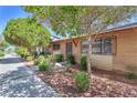 Charming single story home featuring brick and lush landscaping at 3929 Torsby Pl # 3929, Las Vegas, NV 89119