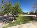 Lush neighborhood park featuring mature trees, green grass, and pleasant surroundings at 6546 Churnet Valley Ave, Las Vegas, NV 89139