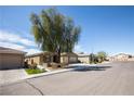 Street view of single-story house with a large shade tree in the front yard on a sunny day at 703 Flaming Cliffs Ct, Henderson, NV 89014