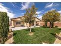 Backyard featuring lush green grass, desert landscaping, and a covered patio perfect for entertaining at 4429 S Glory Vine Ln, Pahrump, NV 89061
