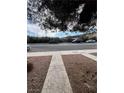 Street view of the property showing the road, sidewalk, and minimal landscaping at 4239 White Sands Ave, Las Vegas, NV 89121