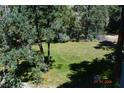 Large grassy backyard surrounded by mature trees, providing shade and privacy at 1382 N Trout Canyon Rd, Las Vegas, NV 89124