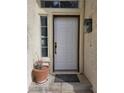 Close-up of the front door, showcasing its design and the surrounding exterior details at 2606 Heartland Ave, Henderson, NV 89074