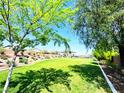 Expansive backyard featuring lush green grass and mature trees at 8694 Glen Echo Ave, Las Vegas, NV 89148