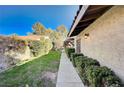 Spacious side yard with lush green lawn and trimmed hedges along a private walkway at 1905 Calle De Espana, Las Vegas, NV 89102