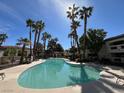 Community pool area surrounded by palm trees offering residents a relaxing outdoor space at 8455 W Sahara Ave # 258, Las Vegas, NV 89117