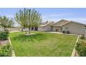 Spacious backyard featuring a well-maintained lawn and mature tree, perfect for outdoor activities and relaxation at 3581 Pahrump Valley Blvd, Pahrump, NV 89048