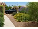 View of xeriscaped front yard featuring a variety of colorful blooming shrubbery and a paved walkway at 9532 Calico Garden Ave, Las Vegas, NV 89134