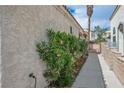 Side view of the property showcases a tidy walkway with flowering shrubs at 3934 Sir Payne Ct, Las Vegas, NV 89104