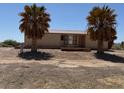 Single-story home with palm trees and desert landscaping at 675 Stevens Ave, Overton, NV 89040