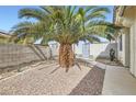 Low maintenance side yard featuring a mature shade palm tree at 1252 N Sloan Ln, Las Vegas, NV 89110