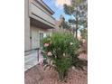 Condo exterior with vibrant pink flowers adding curb appeal to the property at , Las Vegas, NV 89118