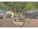 Front yard featuring desert landscaping with mature trees and decorative brick edging at 4620 Standing Bluff Way, Las Vegas, NV 89130