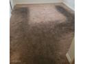 Close up on the carpet in the bedroom at 5248 Greene Ln # B, Las Vegas, NV 89119