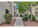 Exterior of the condo showing landscaped walkway lined with bushes and trees at 2725 S Nellis Blvd # 1052, Las Vegas, NV 89121