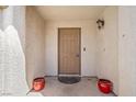 Inviting entryway features a neutral door flanked by red potted plants at 5224 Red Vine St, North Las Vegas, NV 89031