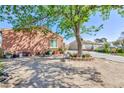 View of the home's side yard and landscaping featuring a mature tree at 3814 Connie Ave, Las Vegas, NV 89115