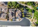 An aerial view shows the roof and surrounding trees on a cul-de-sac street, offering privacy and curb appeal at 580 Via Di Parione Ct, Henderson, NV 89011