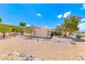 Backyard view of the single-story home featuring desert landscaping, rock accents, and a fenced pool at 1862 Redwood Valley St, Henderson, NV 89052