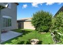 Backyard features a green lawn with a small fountain surrounded by lush landscaping and a tall privacy fence at 10013 Scenic Walk Ave, Las Vegas, NV 89149