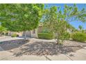 Well-maintained single-story home with desert landscaping, mature trees, and a welcoming walkway at 8141 Guava Nectar Ave, Las Vegas, NV 89131