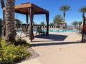 Community pool area featuring cabanas, lounge chairs, and palm trees at 2805 Proust Ct, Henderson, NV 89044