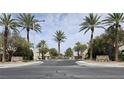 Community entrance with palm trees and manicured landscaping create a welcoming atmosphere at 9324 Pitching Wedge Dr, Las Vegas, NV 89134