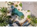 An aerial view of a backyard oasis with a uniquely shaped pool, spa, and palm trees at 6520 Turtle Hill Rd, Las Vegas, NV 89110