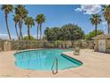 Enjoy the large community pool surrounded by palm trees, offering a relaxing oasis at 5536 Baccarat Ave # 101, Las Vegas, NV 89122