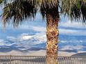 Beautiful mountain view seen through a palm tree, set against a backdrop of clear blue skies at 2764 Leys Burnett Ave, Henderson, NV 89044