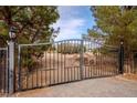 Wrought iron security gate with decorative horse cutouts, enhancing the property's charm at 5081 Riata Pl, Pahrump, NV 89060
