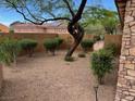 Landscaped backyard features mature trees and shrubs, providing a tranquil outdoor space at 1091 Casa Palermo Cir, Henderson, NV 89011