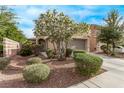 Inviting home exterior featuring a lush flowering tree, a two-car garage, and desert landscaping at 3005 Dotted Wren Ave, North Las Vegas, NV 89084