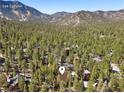 Lee Canyon cabin surrounded by forest, showcasing the serene mountain setting at 2160 Via Vita St, Mount Charleston, NV 89124