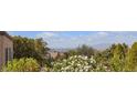 Lush backyard view with vibrant flowers and greenery overlooking the distant city skyline at 2256 Cordaville Dr, Henderson, NV 89044