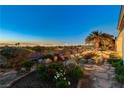 Landscaped backyard featuring desert flora and a distant city view at 1637 Wellington Springs Ave, Henderson, NV 89052