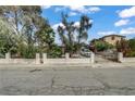 Street view of the home showcasing the lush front yard with mature trees at 1674 Palma Vista Ave, Las Vegas, NV 89169