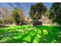 Expansive backyard with lush green grass and mature trees, offering plenty of space for outdoor activities and relaxation at 3141 E Katie Ave, Las Vegas, NV 89121