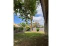 Lush backyard featuring a green lawn, privacy wall and mature landscaping, perfect for outdoor enjoyment at 4931 Crystal Breeze Ln, North Las Vegas, NV 89031