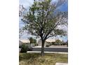 Beautiful single-story home with desert landscaping, mature trees and shade in quiet neighborhood at 4931 Crystal Breeze Ln, North Las Vegas, NV 89031